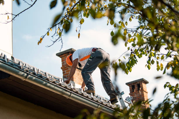 Best Flat Roof Repair Services  in Avoca, IA